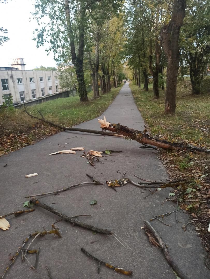 Жители Владимирской области засняли последствия штормового ветра