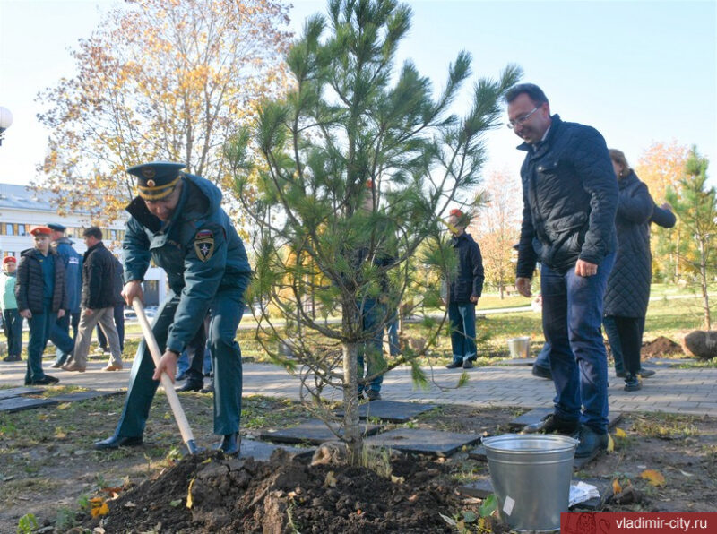 В Патриотическом сквере появились новые кедры и стела в память о пожарных, ушедших на фронт в годы Великой Отечественной войны