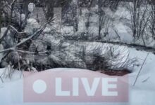 Неделя под знаком канализации: в Карабанове стоки текут в реку, власти молчат