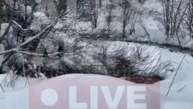 Неделя под знаком канализации: в Карабанове стоки текут в реку, власти молчат