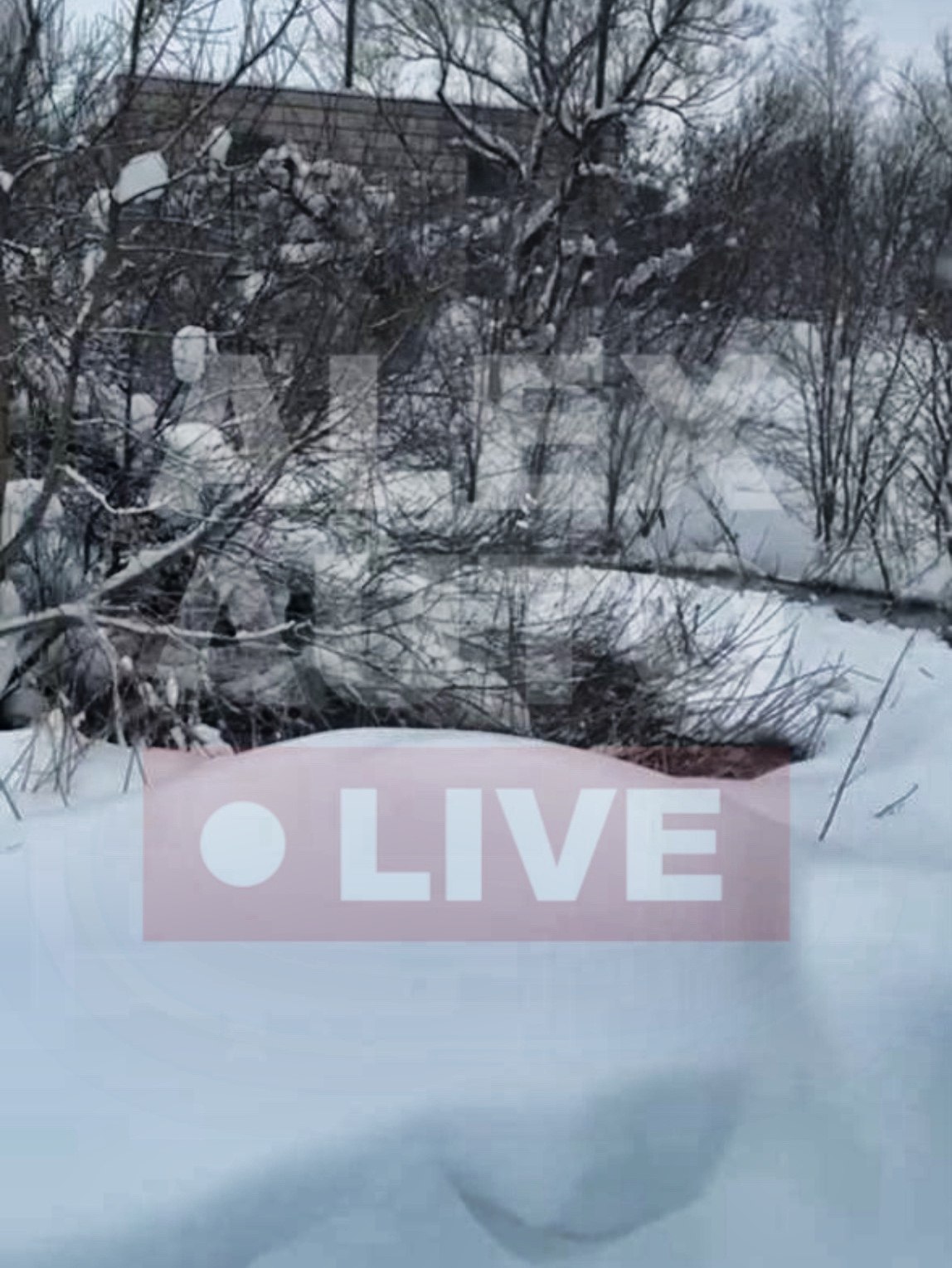 Неделя под знаком канализации: в Карабанове стоки текут в реку, власти молчат