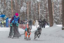 Гонка «Семь вёрст Crazy Dog» прошла в Гусь-Хрустальном