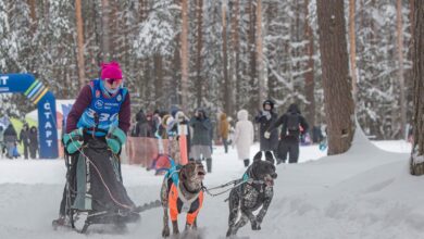 Гонка «Семь вёрст Crazy Dog» прошла в Гусь-Хрустальном