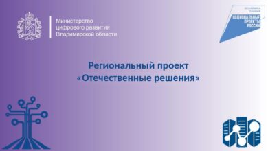 Владимирские чиновники пересели на отечественный софт: раздали 1800 антивирусов