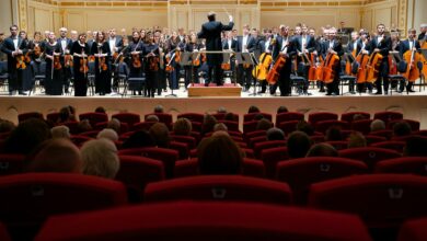 Владимирский Губернаторский оркестр представит «Жёлтые звёзды»