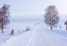 Во Владимирской области февральские снегопады продлятся до конца месяца