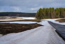 Потепление до +2°C: морозы во Владимире сменятся оттепелью