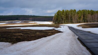 Потепление до +2°C: морозы во Владимире сменятся оттепелью