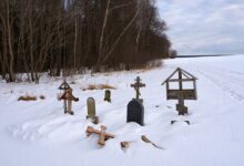 Кладбище под выкуп: земля с могилами ушла с молотка