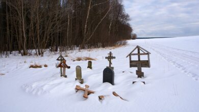 Кладбище под выкуп: земля с могилами ушла с молотка