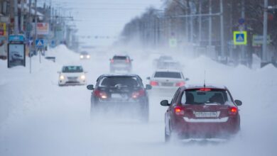 Владимирскую область накроет метель с ветром до 17 м/с