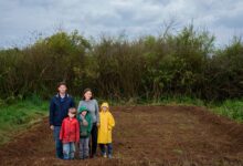 Суд обязал Судогодскую администрацию расчистить участок для многодетной семьи