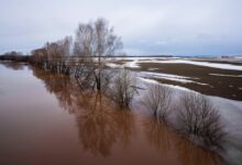 Владимирцев ждет ранняя весна и опасное половодье