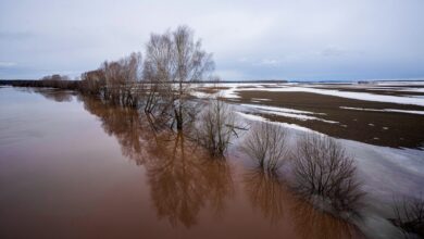 Владимирцев ждет ранняя весна и опасное половодье