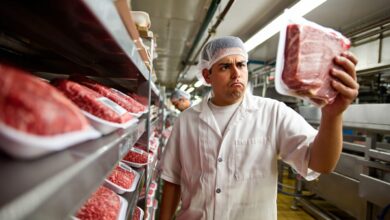 Во Владимирской области в мясе нашли кишечную палочку