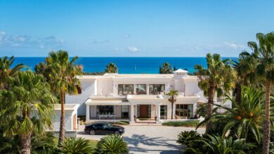 Минздрав с видом на море: у Янина нашли испанский след