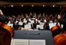 Маркины представили Владимир на конференции фестиваля Башмета в Сочи