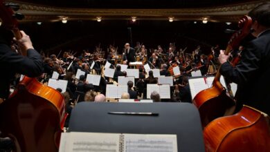 Маркины представили Владимир на конференции фестиваля Башмета в Сочи