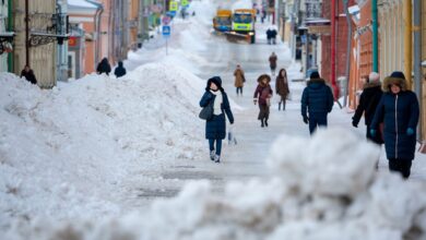 Руководство ЦУГД оштрафовано за снежные валы во Владимире