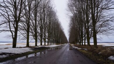 Тёплый фронт придёт во Владимирскую область в субботу