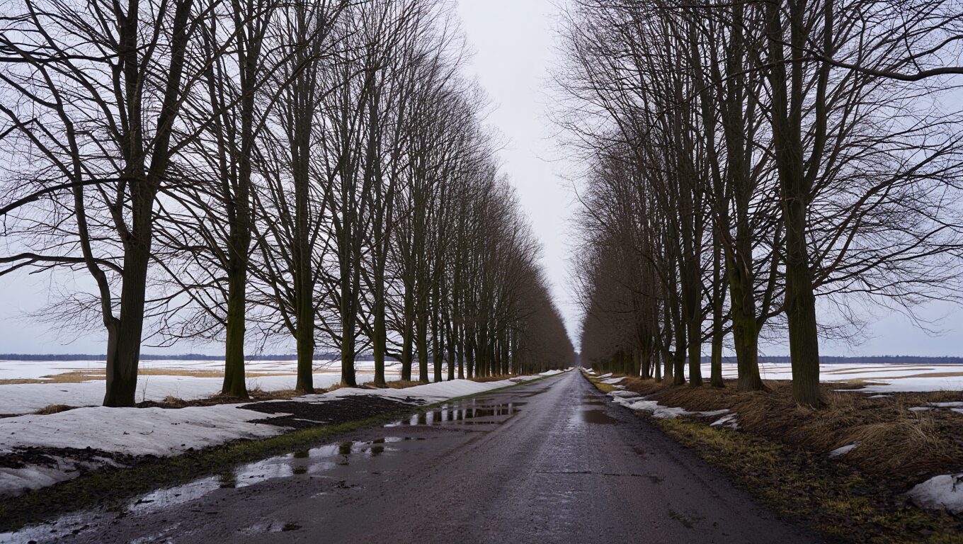 Тёплый фронт придёт во Владимирскую область в субботу