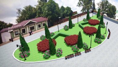 На Спасском холме из кустарников вырастет силуэт вишни