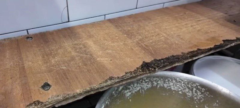 Тараканы и ртуть: владимирские школы прошли проверку на выживаемость