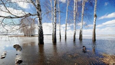 Во Владимирской области ждут бурное половодье