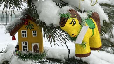 28 ёлок и одна лошадь: Суздаль подвёл итоги конкурса