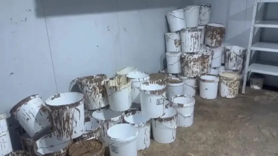 Во Владимирской области накрыли фабрику контрафактного шоколада